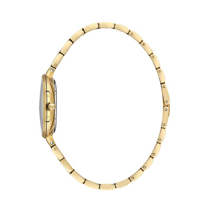 Bigotti Women's Watch - BG.1.10742-7